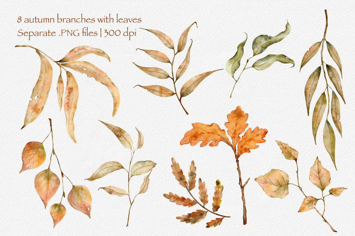 Cozy Autumn Set, a Decorative Illustration by Aurella Art (Photo 4 of 18)