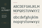 Quiet Herald – Vintage Letterpress, a Serif Font by Sk designs (Thumbnail 12 of 20)