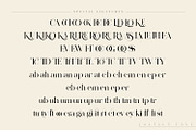 Lostgun | Discount 20%  OFF, a Serif Font by Qaratype (Thumbnail 20 of 20)