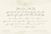 Bright Starla - Handwritten Script, a Script Font by Namara Creative Studio (Thumbnail 9 of 13)