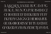 CHEVALIER Modern Luxury Typeface, a Serif Font by Comactype Foundry (Thumbnail 7 of 13)
