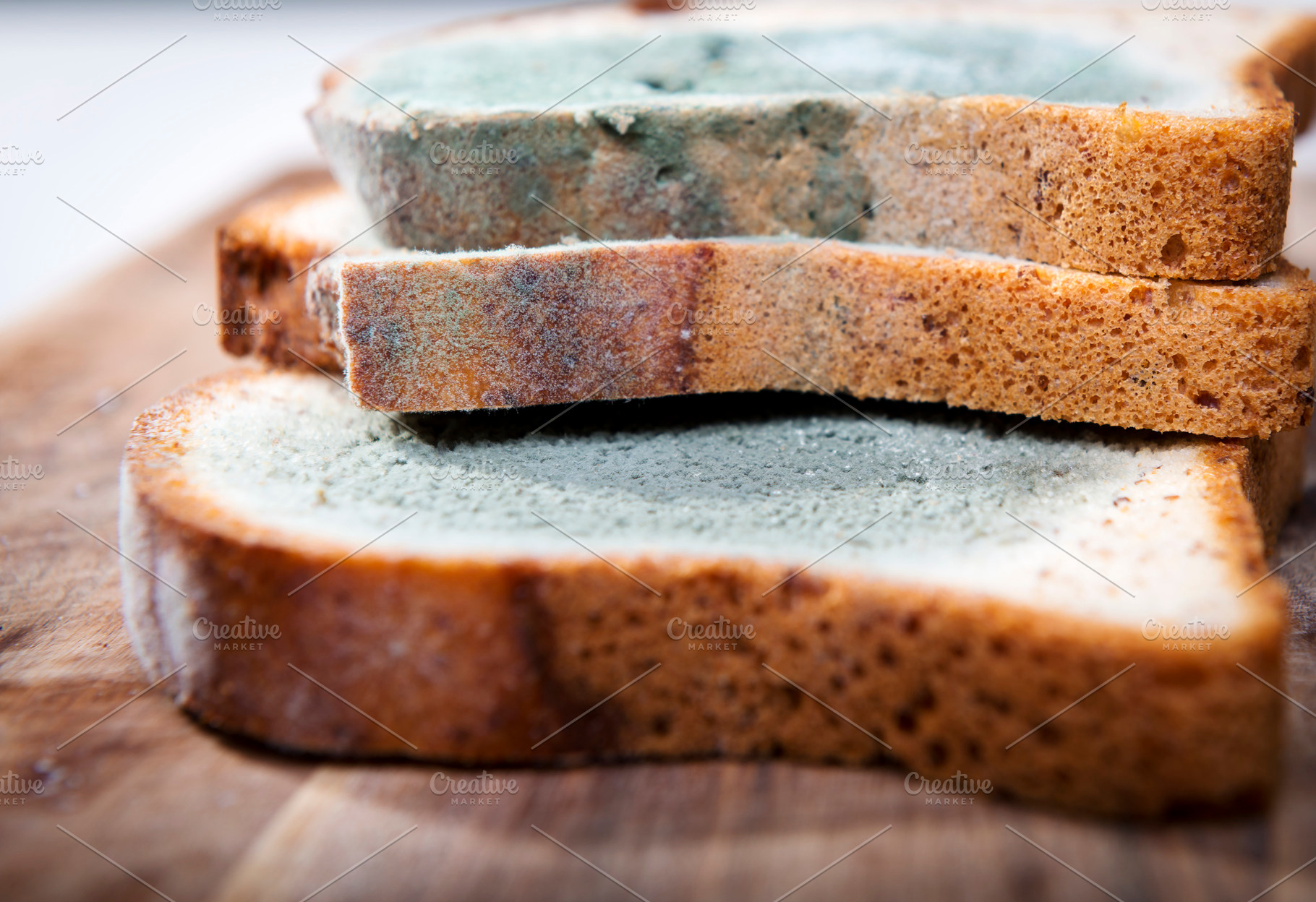 Moldy Bread, a Food & Drink Photo by THP Creative