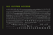 Mizhon | 36 Fonts, a Serif Font by Skinny Type (Thumbnail 8 of 15)