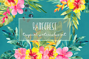 Rainforest, a Decorative Illustration by Charushella (Thumbnail 1 of 9)