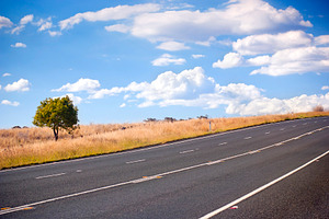Country Road, a Nature Photo by THP Creative