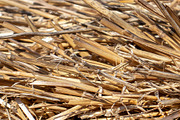 The straw lies on the ground, an Abstract Photo by Schreibikus (Thumbnail 5 of 7)