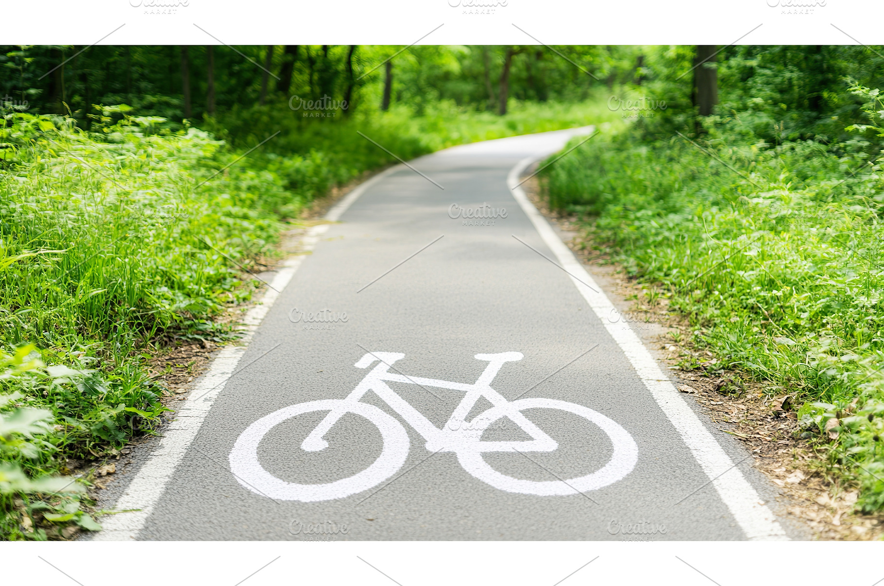 Bike lane through forest marked with, a Nature Photo by Lermont51
