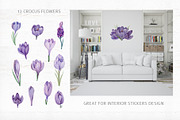 Crocus Clipart Collection, an Object Graphic by Kate Galunga Artstore (Thumbnail 2 of 7)
