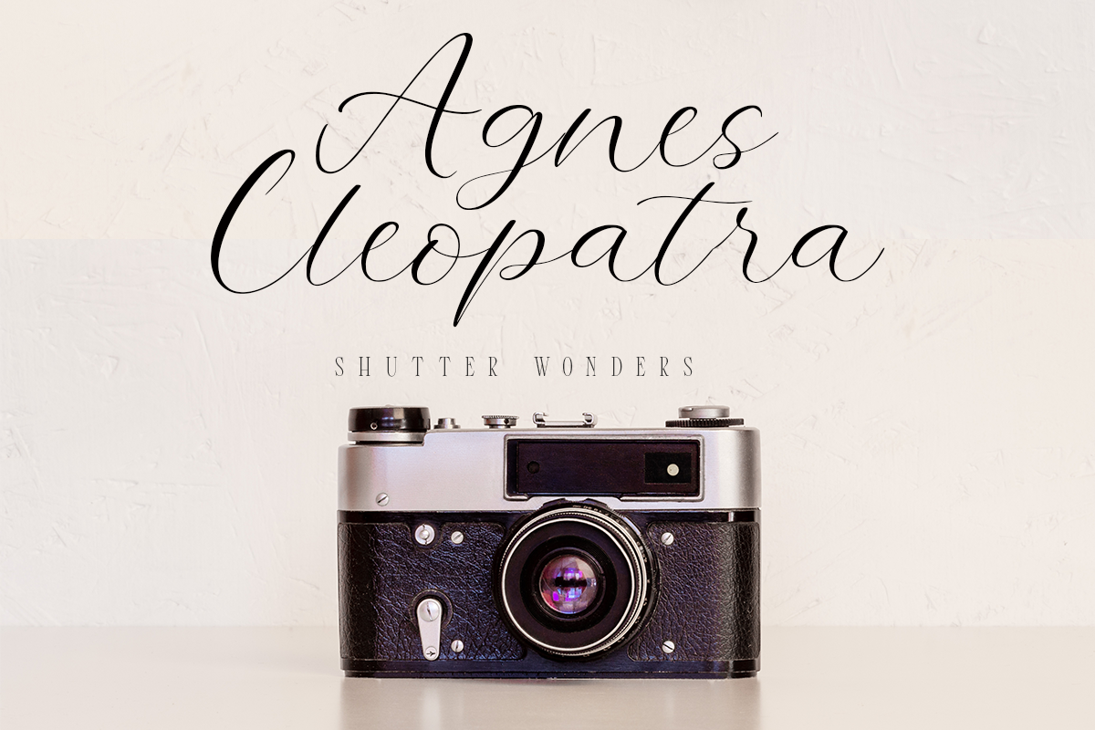 Mostpia - Elegant Handwritten Script, a Handwritten Font by roomspace creative lab (Photo 7 of 12)