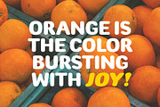 Udogi Sans - A Clean and Versatile, a Font by Four Lines Std. (Thumbnail 9 of 10)