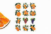 Watercolor Orange Fruit's Clipart PN, an Illustration by Libby Wishes (Thumbnail 2 of 4)