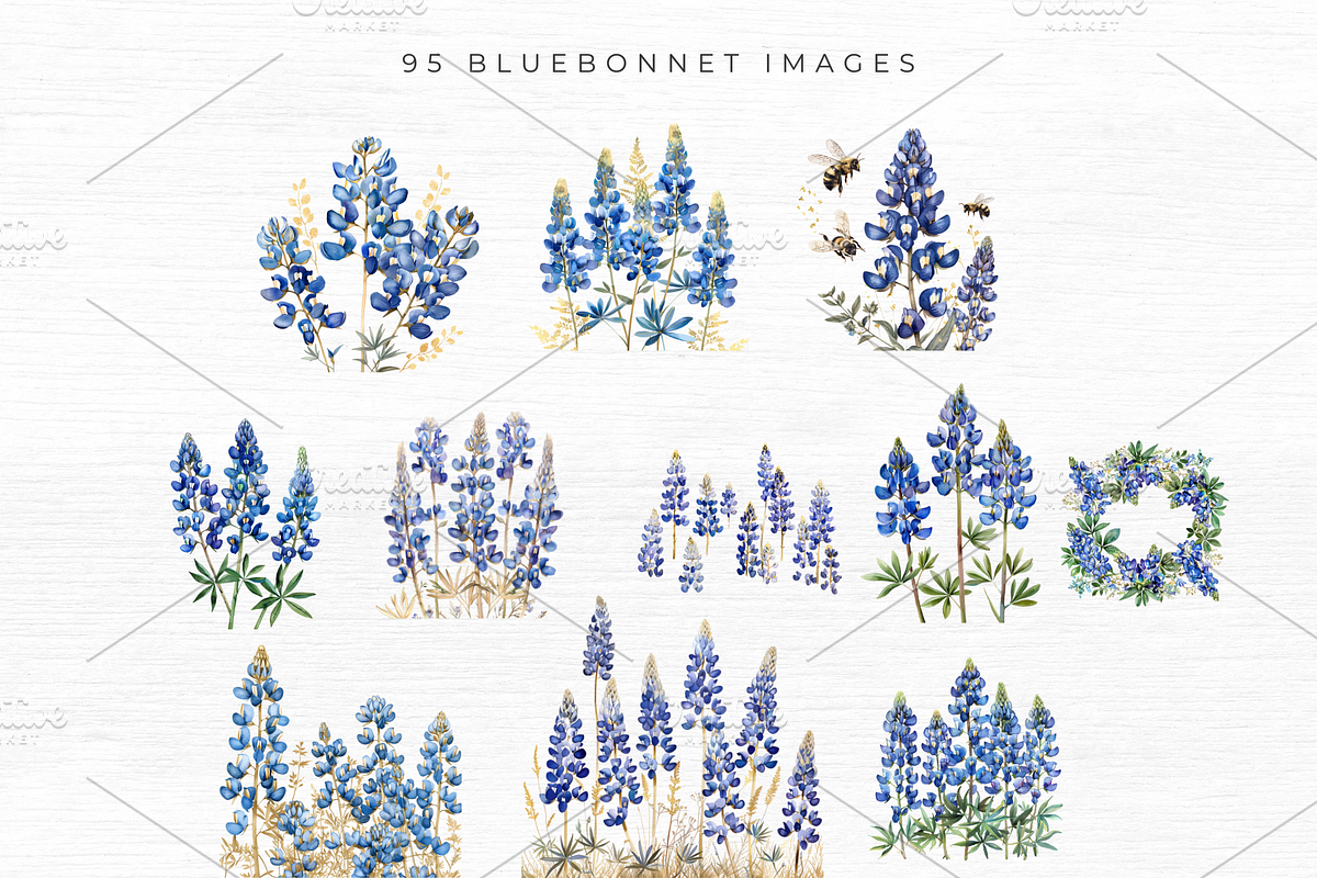 BLUEBONNET FLOWER CLIPART, an Object Graphic by EllyandLima (Photo 6 of 7)