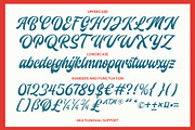 Camelate - Bold Script, a Script Font by Novitype (Thumbnail 11 of 11)