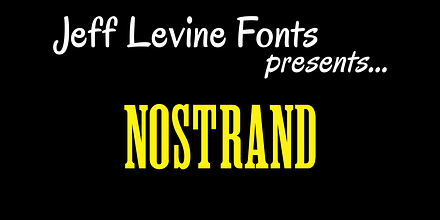 Nostrand JNL, a Serif Font by Jeff Levine Fonts