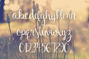 Emerson, a Script Font by OnTheSpotStudio (Thumbnail 6 of 6)