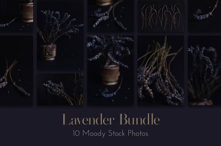 Lavender Photo Bundle, a Nature Photo by OkPen