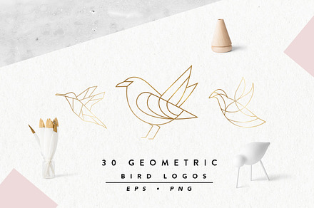 Geometric Bird Logos EPS & PNG