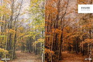 10 October Lightroom Presets