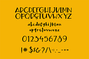 Sale! Twisted Jellyroll, quirky font, a Serif Font by theinkaffair (Thumbnail 9 of 9)