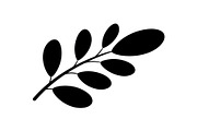 Botanical Leaf Silhouette Bundle, an Illustration by Creativeshirt (Thumbnail 10 of 51)
