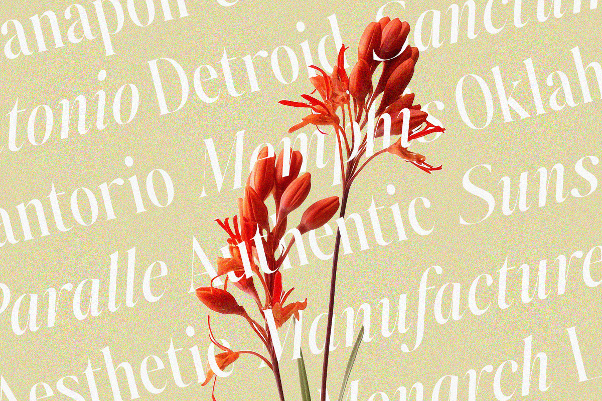 Johannes Keppler Family (18 Fonts), a Serif Font by Positive TypeFoundry (Photo 4 of 15)