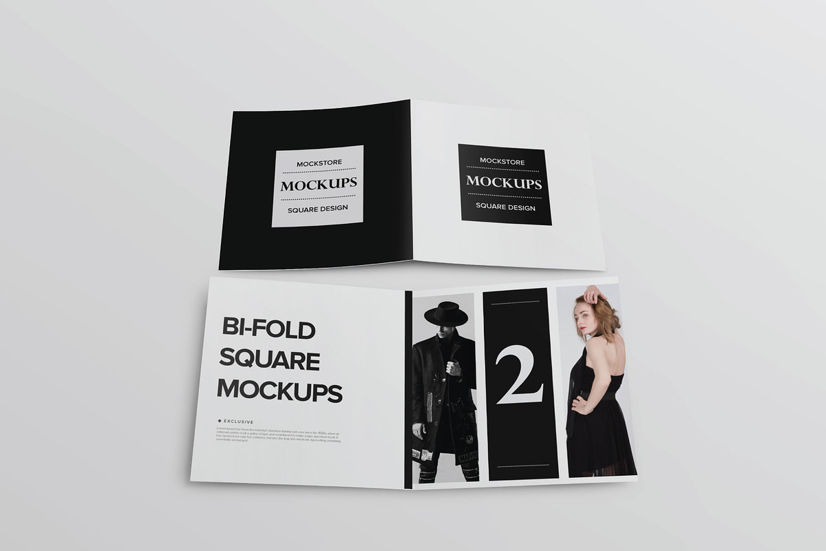 Bi-Fold Brochure Mockup 8 Style, a Print Template by Mockstore (Photo 17 of 18)