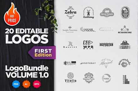 Logo Bundle. Volume 1. First Edition