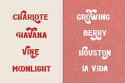 ROTTELY - DISPLAY FONT, a Serif Font by din-studio.com (Thumbnail 7 of 11)