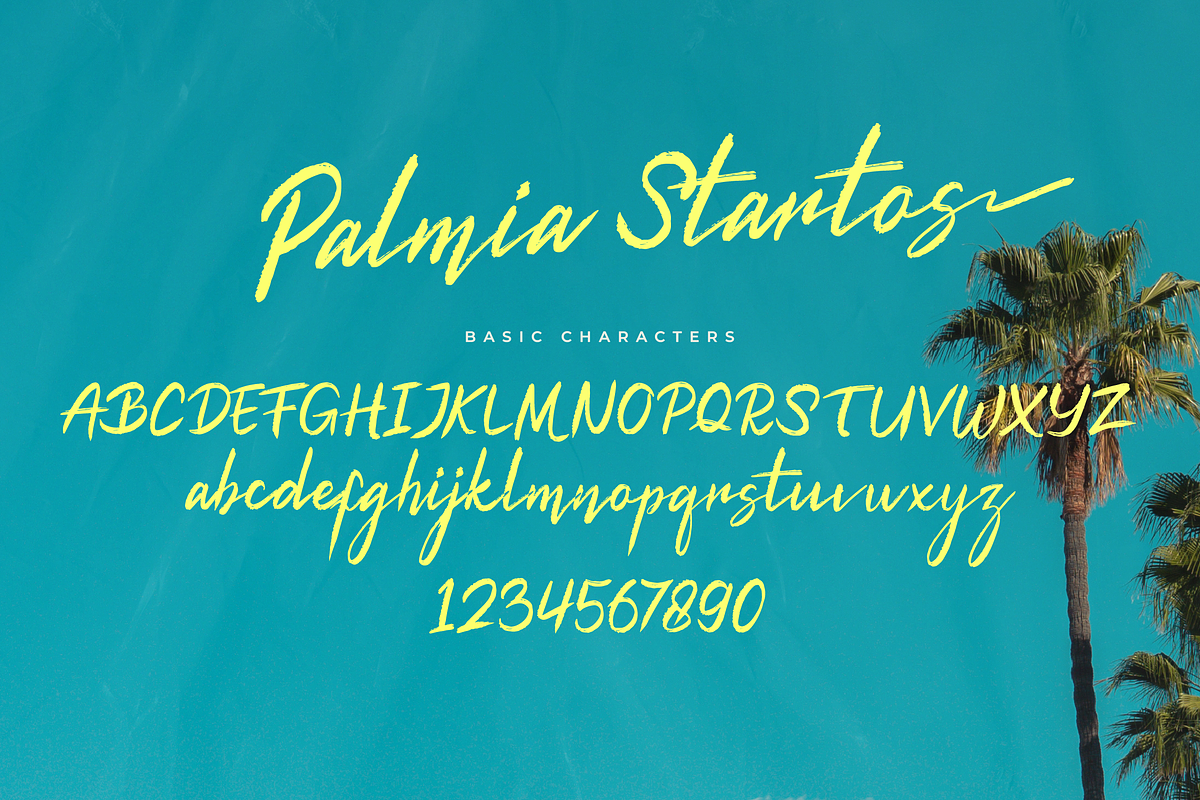 Palmia Startos | Retro Brush Script, a Script Font by gracetype_studio (Photo 14 of 15)