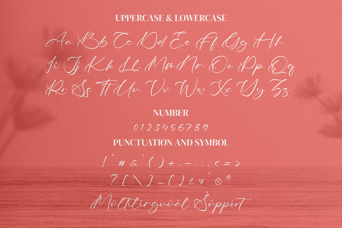 Tiara, a Script Font by Integritype Studio (Photo 8 of 10)