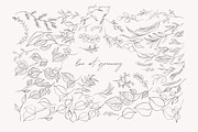 Line Art & Watercolour Greenery, an Illustration by January Bloom (Thumbnail 18 of 22)