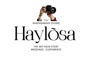 Phoveus, a Serif Font by Youngtype.Std (Thumbnail 3 of 10)