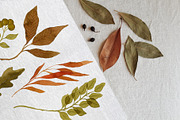 Watercolor Autumn Leaves Bundle, an Illustration by Helga Wigandt (Thumbnail 6 of 18)