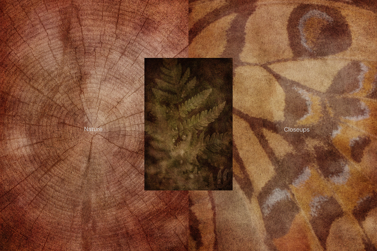 Faded Nature - Textured Backgrounds, a Background Graphic by Lidberia (Photo 7 of 11)