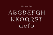 Elagest - Modern Serif Font, a Serif Font by Iqsiart Studio (Thumbnail 15 of 16)