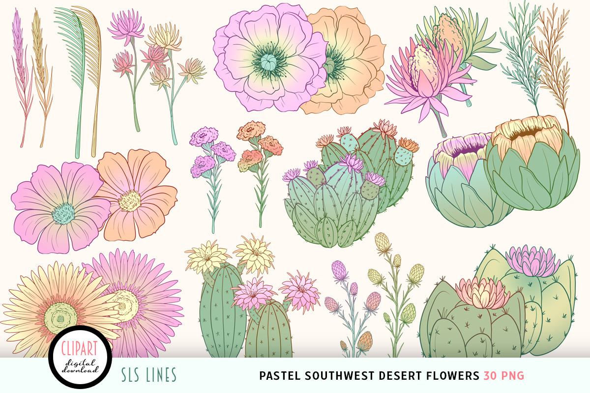 Southwestern Desert Flowers Clipart, a Decorative Illustration by SLS Lines (Photo 3 of 4)