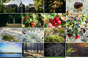 Autumn – 48 HQ Photos, a Nature Photo by Barn Images (Thumbnail 2 of 2)