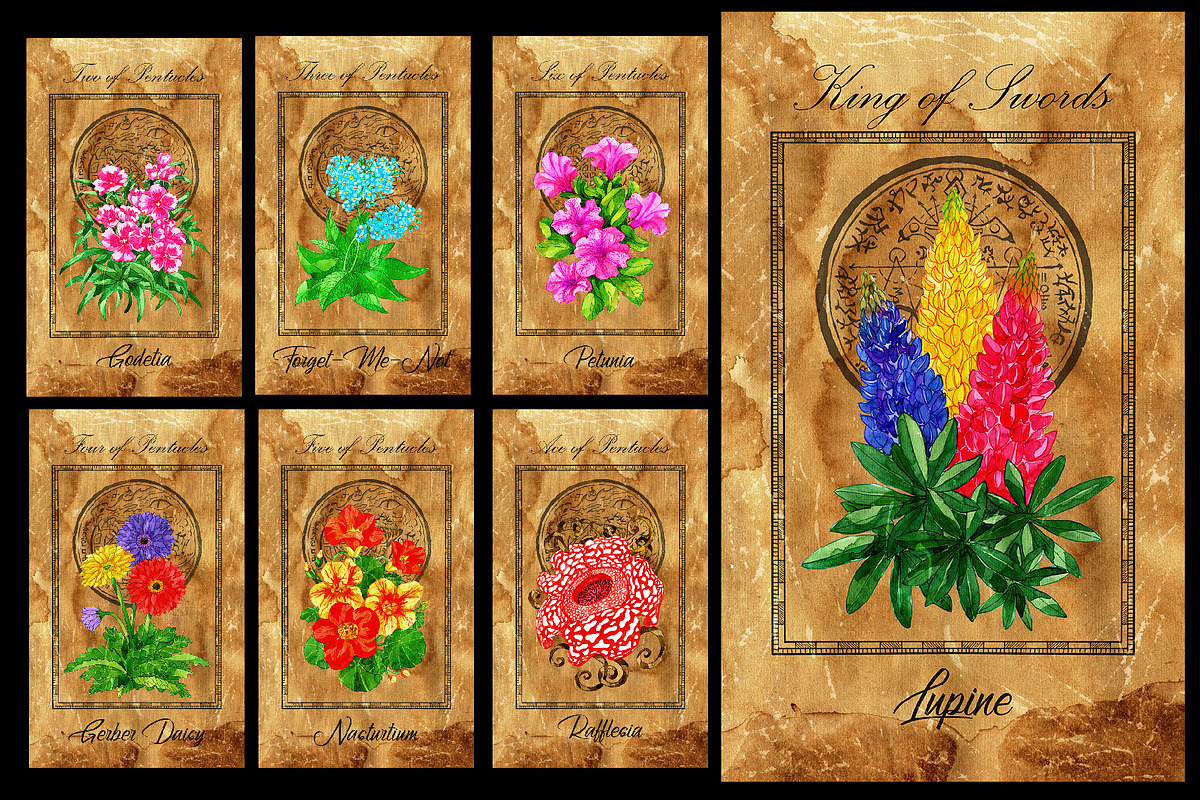 Enchanted flowers tarot deck, a Decorative Illustration by Samiramay (Photo 9 of 12)