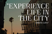 Gaines Display Serif Font, a Serif Font by Storytype Studio (Thumbnail 4 of 14)