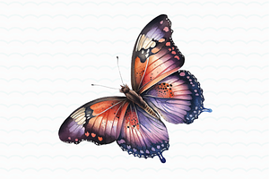 Watercolor Flower Butterfly Clipart