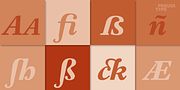 Athanasius PRO, a Serif Font by preussTYPE (Thumbnail 10 of 10)