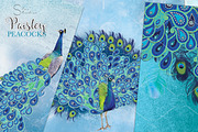 Paisley Peacocks Pack, an Illustration by Dana Designs (Thumbnail 3 of 5)