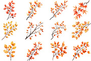 Botanical Fall Branches Clipart, an Illustration by Pixels.Craft (Thumbnail 4 of 5)