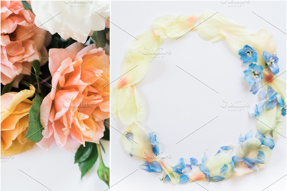 Instagram Styled Stock Square Photos, a Social Media Template by LaPorte Images (Photo 3 of 19)
