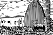 Old Milk Barn and Cow, an Animal Illustration by blue67sign (Thumbnail 2 of 2)