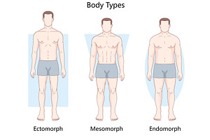 Male body types ectomorph mesomorph, a Healthcare Illustration by AlexArt