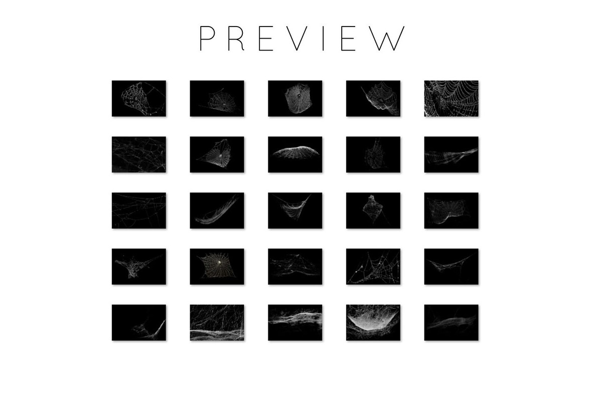 Spiderweb Photoshop Overlays, an Object Graphic by Prestige Photography (Photo 13 of 14)