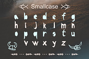 BRAVE-VIKING OTF font, a Symbol Font by Zimages (Thumbnail 3 of 9)