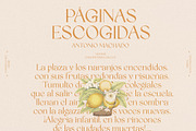 Quinek Elegant Serif, a Serif Font by Brandear Design (Thumbnail 4 of 16)