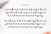 Allexa | Script Font, a Script Font by Suntype | Sunshine Std (Thumbnail 2 of 10)